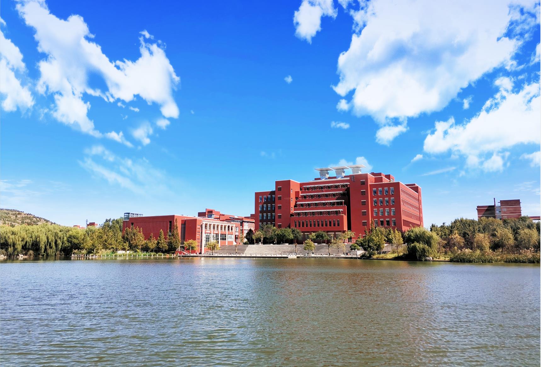 陈龙海 华中师范大学教授